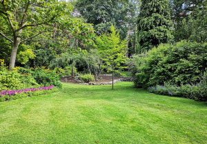 Optimiser l'expérience du jardin à Etzling